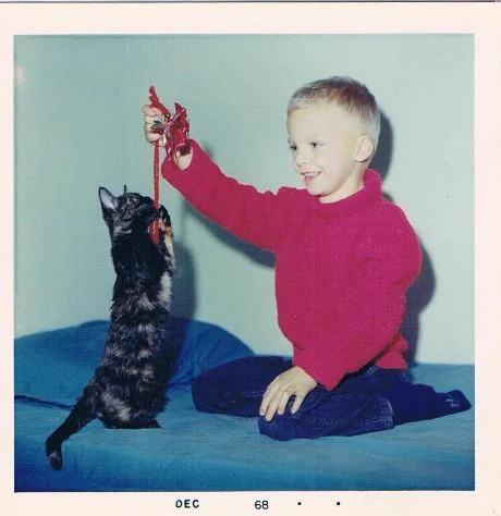 Aaron as a small boy in a red sweater, dangling a toy for a dark tabby kitten reaching up on its hind legs