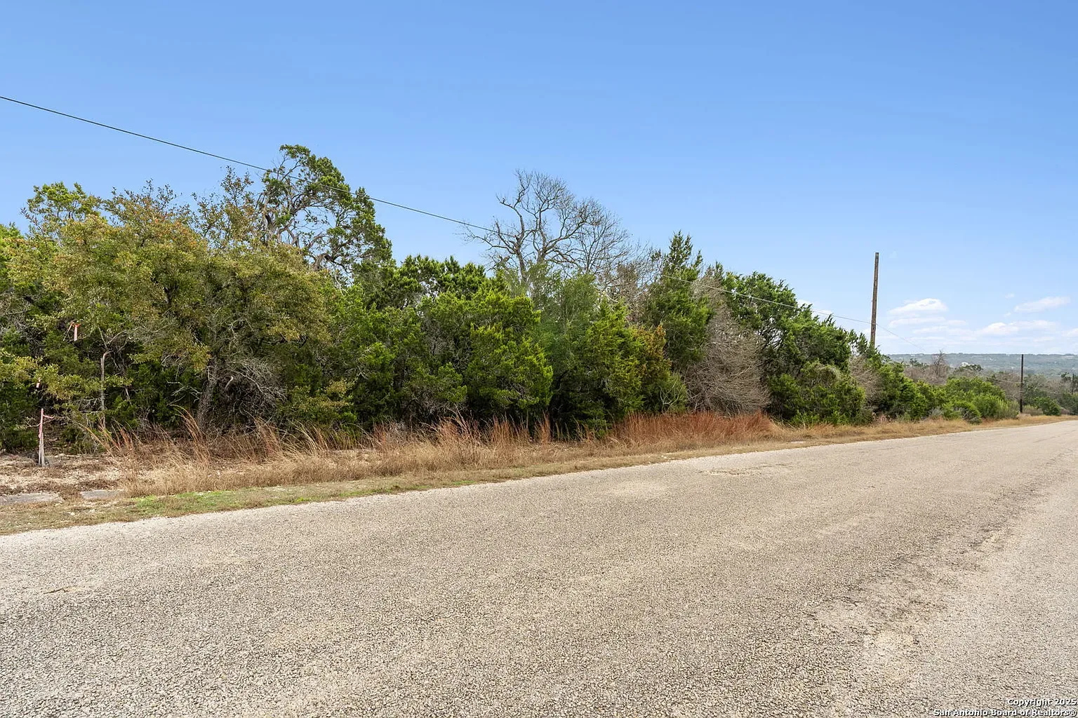 Road frontage of a treed building lot